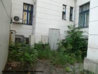 Imagine atasata: Primaria Timisoara - 2015.08.16 - 05.jpg